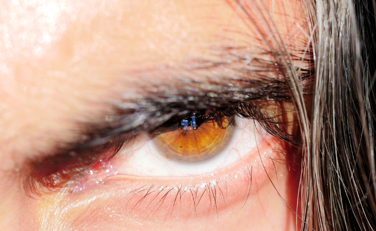 Bursztynowe oczy – znaczenie koloru