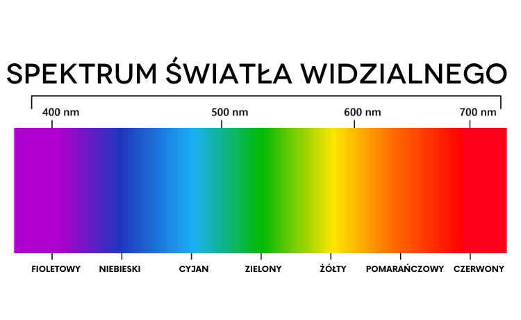 Zakres światła widzialnego