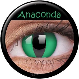 anaconda