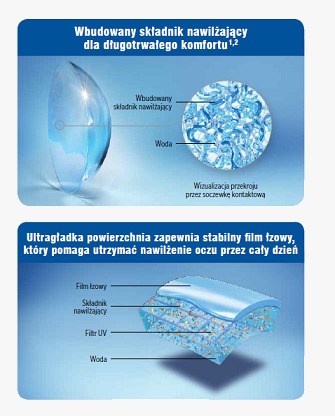 infografika struktura soczewki