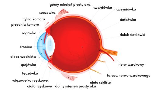 Zapalenie błony naczyniowej oka