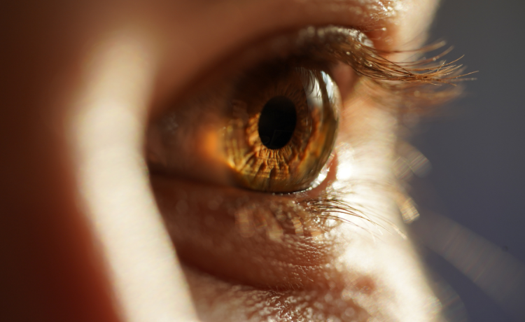 soczewka w układzie optycznym oka
